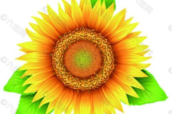 黄道吉日2026年4月吉日有哪些日子适合结婚 2026年10月结婚吉日一览表