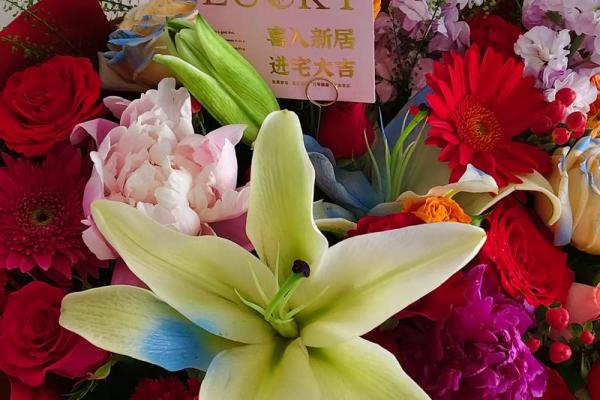 2月结婚新居好日子 二月适合搬新家的黄道吉日 2月结婚新居好日子 二月适合搬新家的黄道吉日